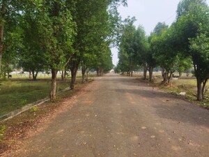 Plot Area in  Plot at Kothavalasa – for Sale