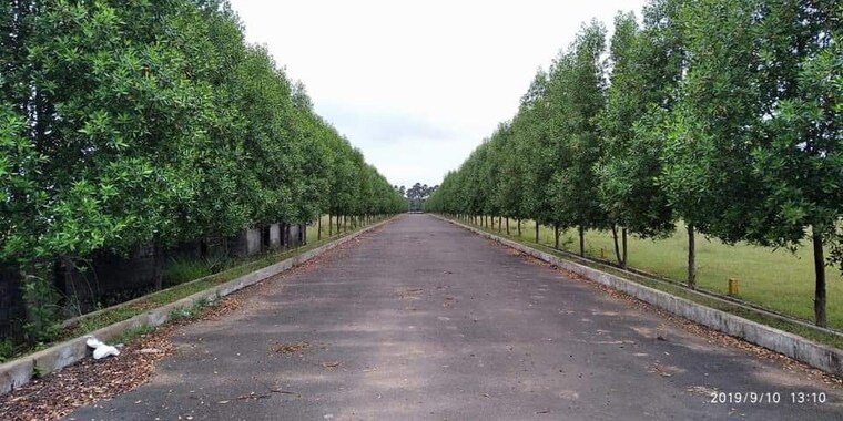 undefined, kothavalasa  200 Sq.Yd. Plot In Kothavalasa Vizag 8717124