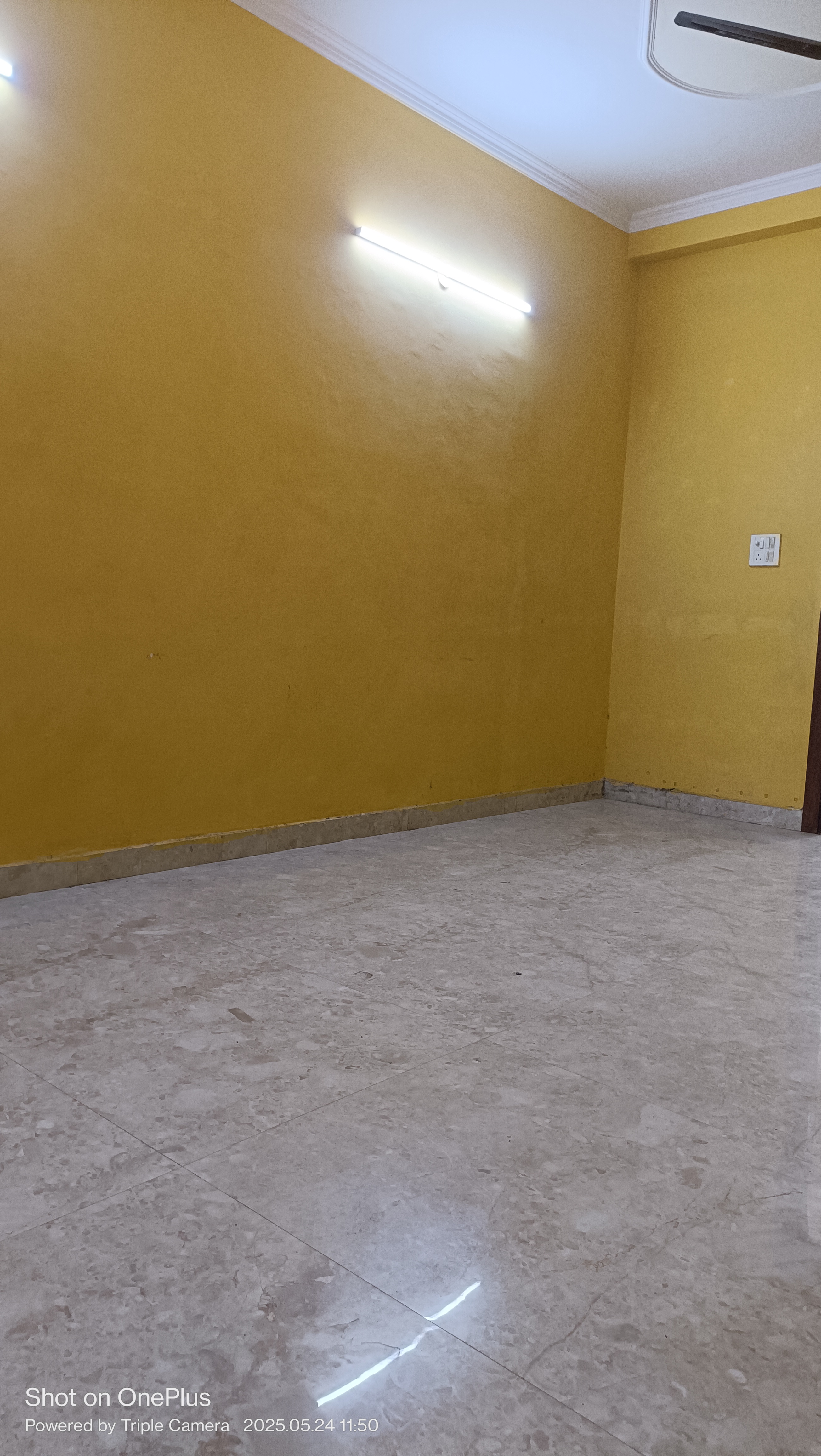 3 BHK Builder Floor For Rent in Ashoka Enclave 