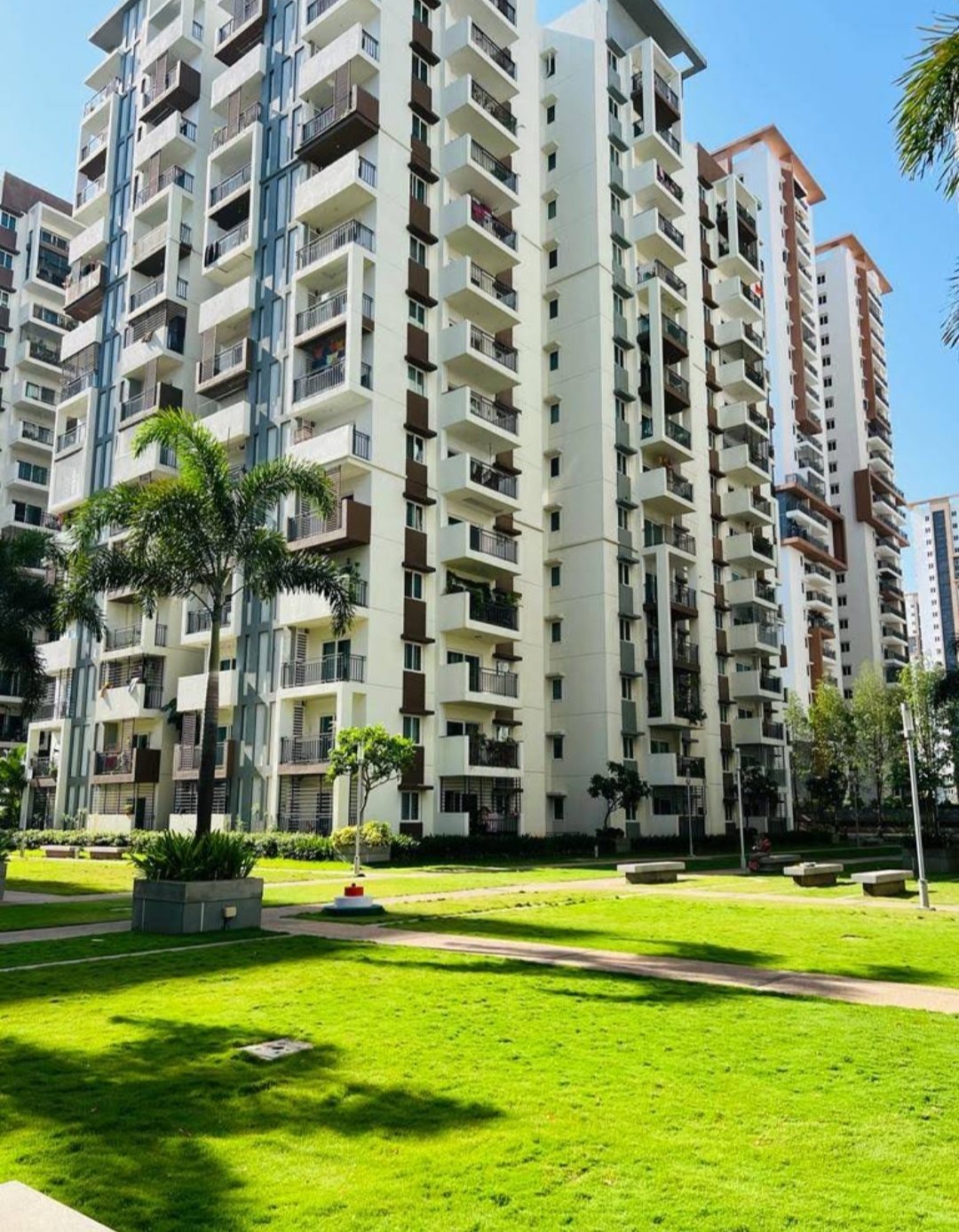 3 BHK Apartment For Rent in Aparna Sarovar Zenith
