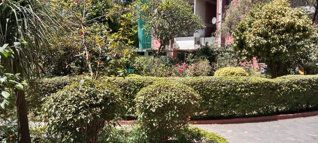 3 BHK + Extra Room Apartment For Sale in Vidhi Apartment IP Extension