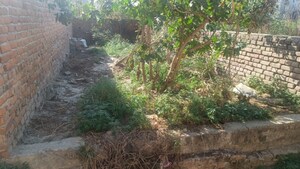  Plot For Sale in Sikandrabad