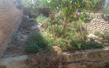 Plot For Sale in Sikandrabad
