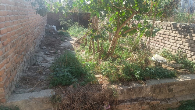 Plot For Sale in Kalindi Knuj Khurja 