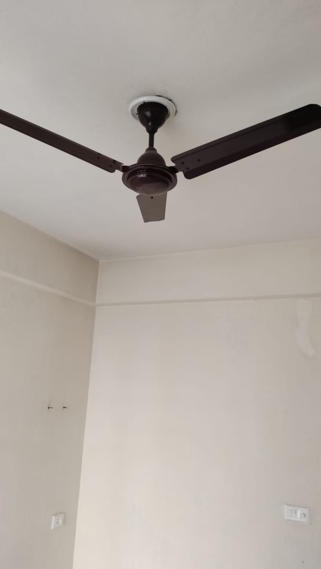 3.5 BHK Apartment For Rent in Omaxe Spa Village