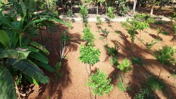  Plot For Sale in Mihan
