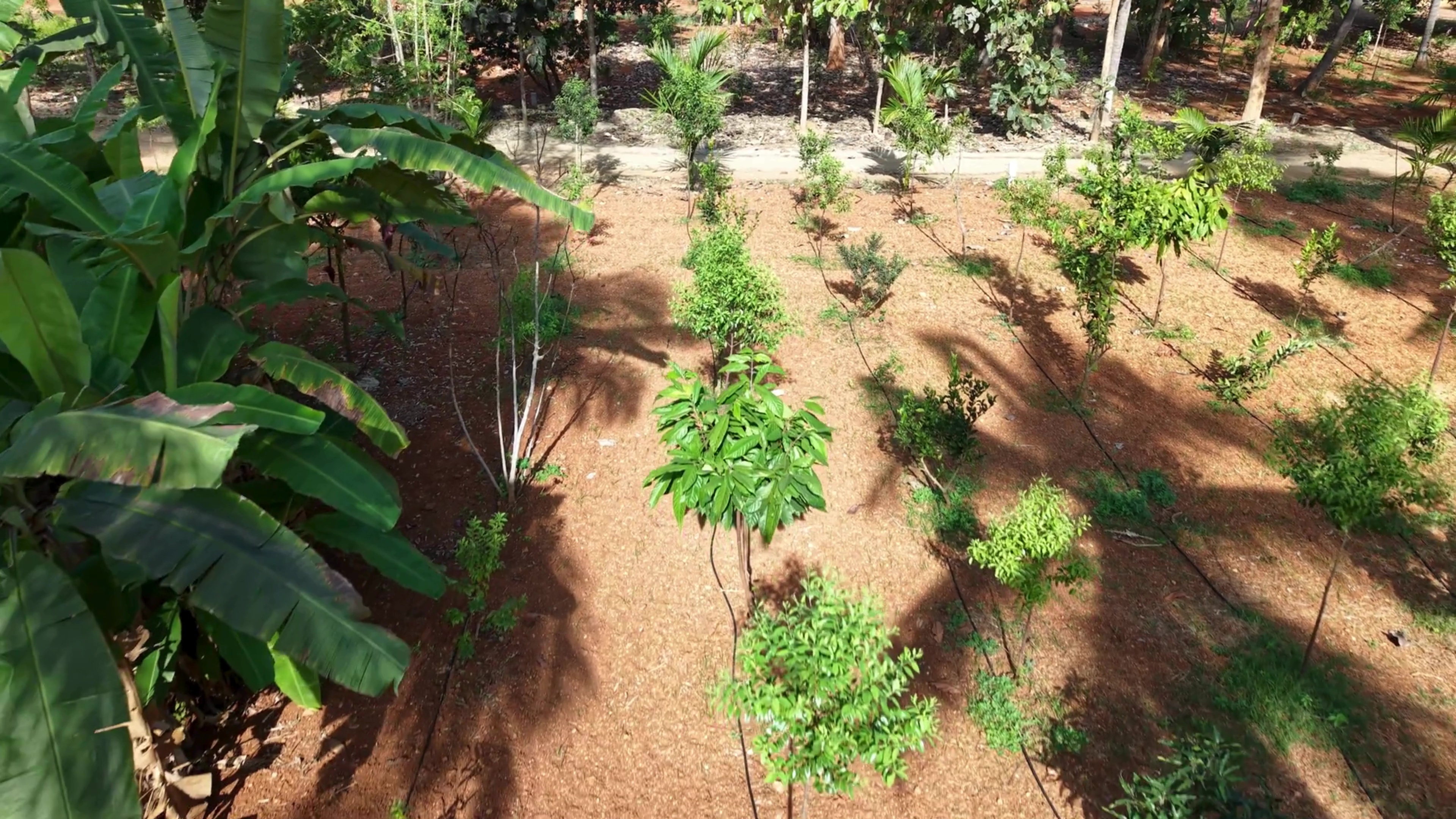 Plot For Sale in MIHAN