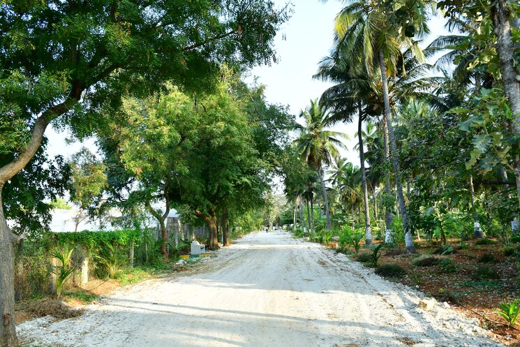 Exterior View, mihan  1250 Sq.Ft. Plot In Mihan Nagpur 8672187