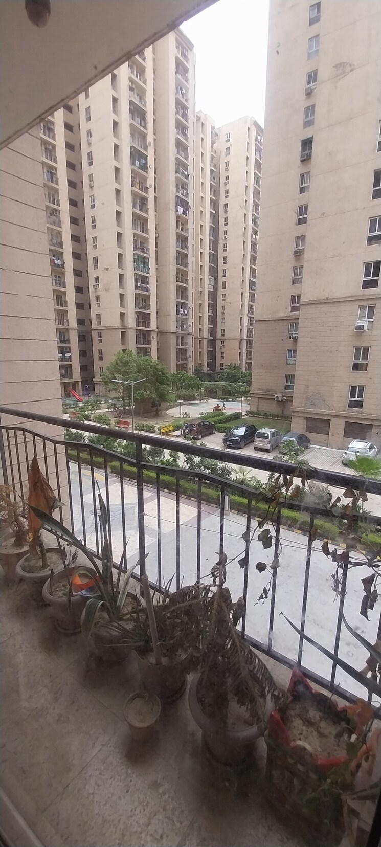 Exterior View, aditya-city-apartments 2 Bedroom 925 Sq.Ft. Apartment In Shahpur Bamheta Ghaziabad 8717795