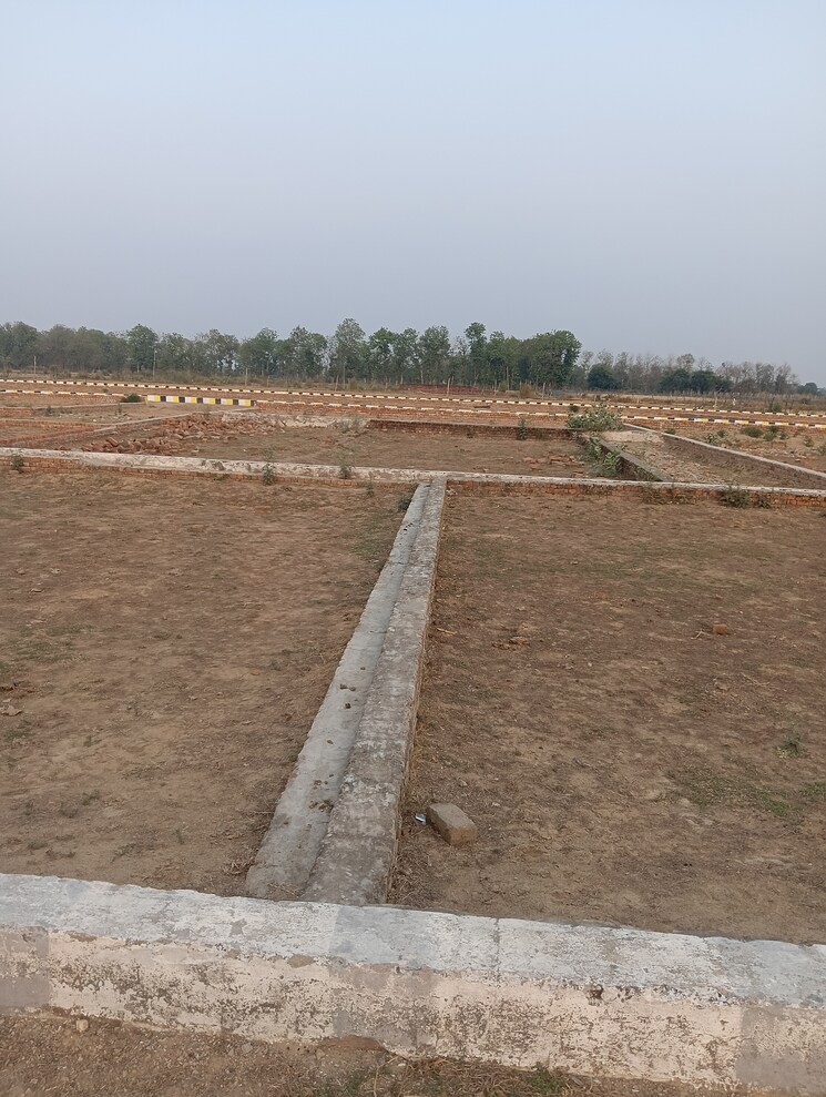 undefined, gomti nagar  800 Sq.Ft. Plot In Gomti Nagar Lucknow 8717850