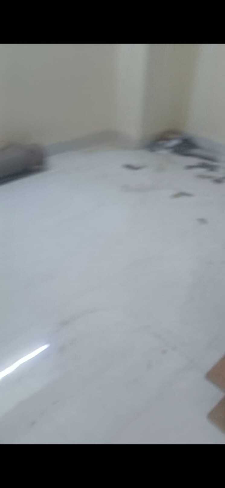 Room, sector 121 2 Bedroom 850 Sq.Ft. Builder Floor In Sector 121 Noida 8717891