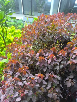 3 BHK Apartment – Garden View at Vanshika Natures Harmony, Talaghattapura - for Sale