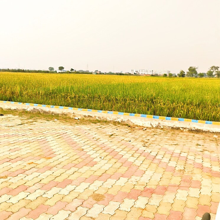 undefined, babatpur  1360 Sq.Ft. Plot In Babatpur Varanasi 8717927