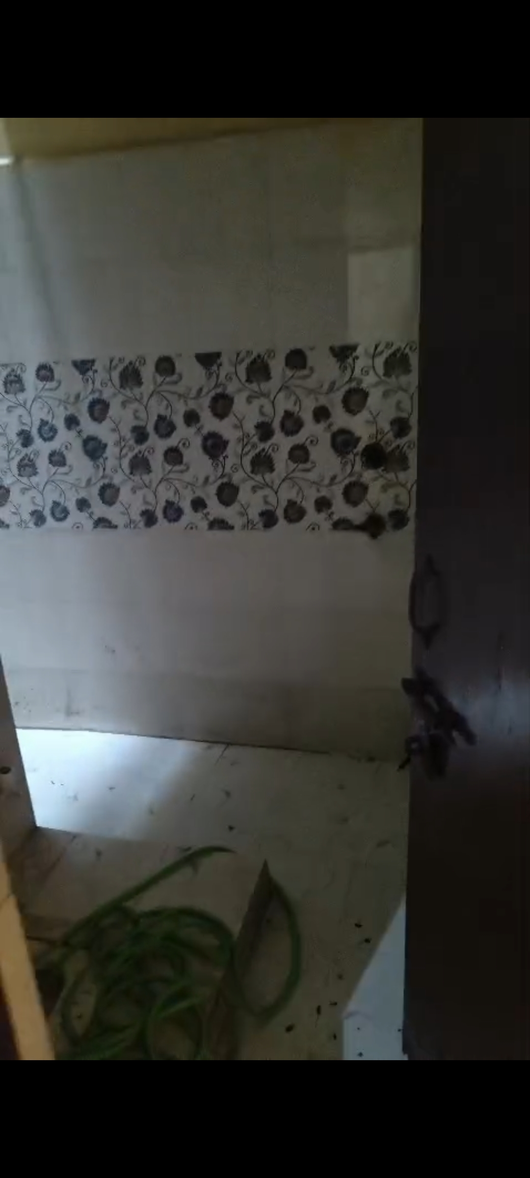 2 BHK + Extra Room Builder Floor For Rent in Builder Floor 121