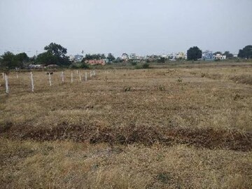  Plot For Sale in Babatpur