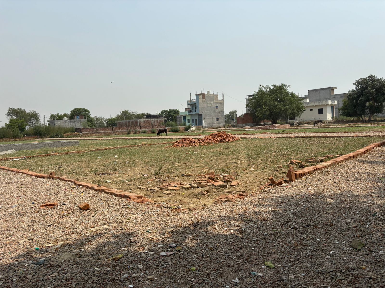 Plot For Sale in Ambedkar City