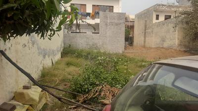 Plot For Sale in Kalindi Knuj Khurja 