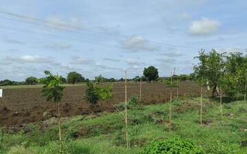Plot For Sale in Gokul Residency Jaisingpura, Jaisinghpura