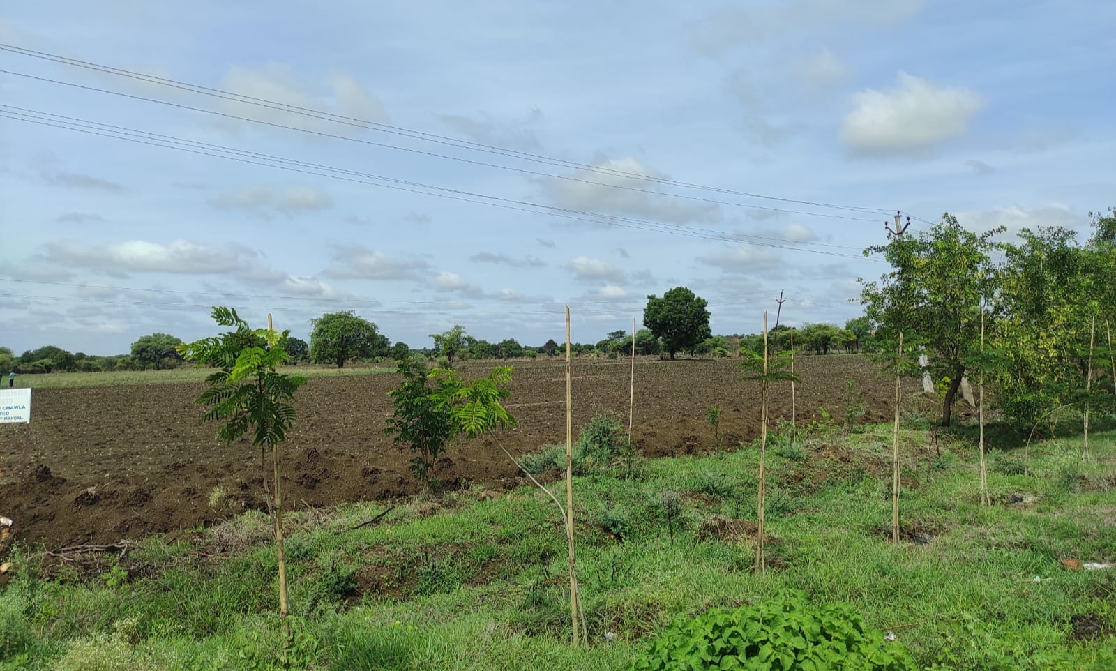 Plot For Sale in Gokul Residency Jaisingpura
