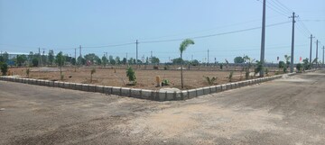 Plot Area in  Plot at Sector 20 – for Sale