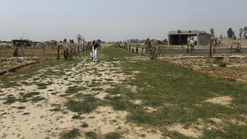Plot Area in  Plot at Sector 52 – for Sale