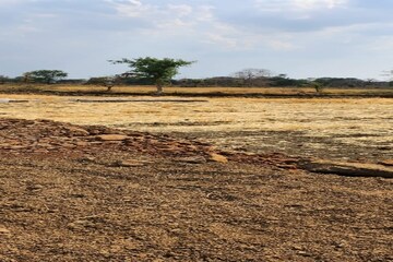 Plot Area in  Plot at Sector 51 – for Sale