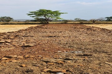Plot Area in  Plot at Sector 51 – for Sale