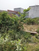 3200 Sq.Yd. Plot in Ram Property
