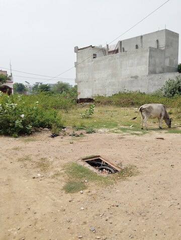  Plot For Sale in Jankipuram