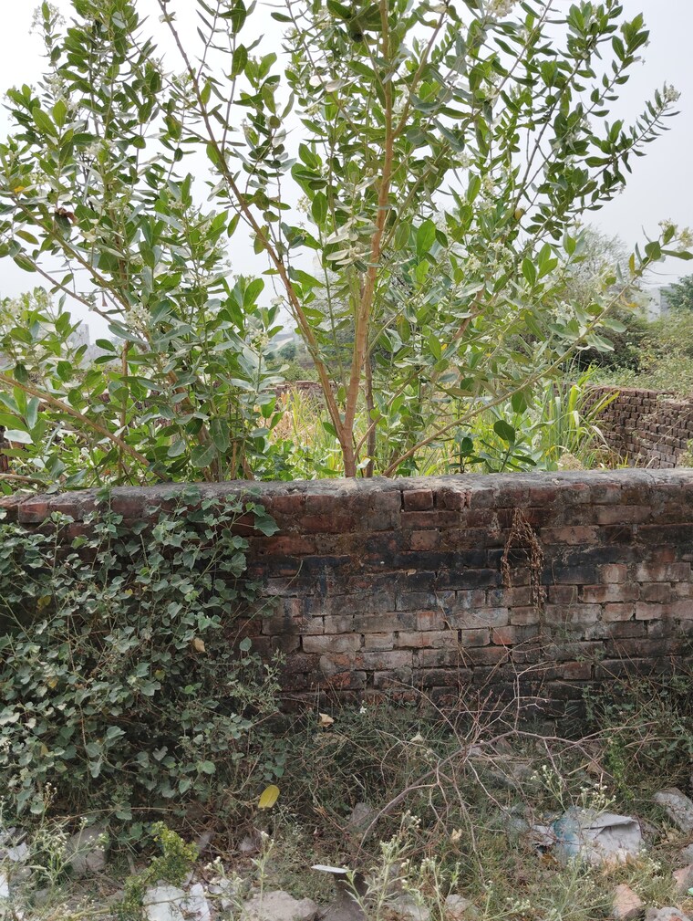 undefined, jankipuram  5000 Sq.Yd. Plot In Jankipuram Lucknow 8718987