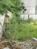 1210 Sq.Yd. Plot in Ram Property