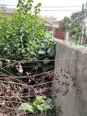  Plot – Exterior View View at Guramba - for Sale