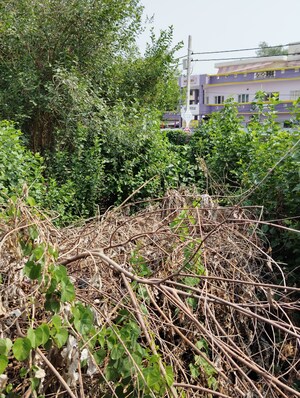 Plot Area in  Plot at Guramba – for Sale