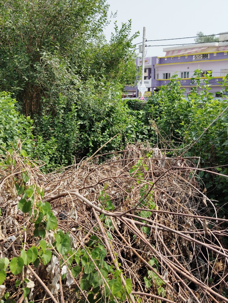 undefined, guramba  1210 Sq.Yd. Plot In Guramba Lucknow 8719021