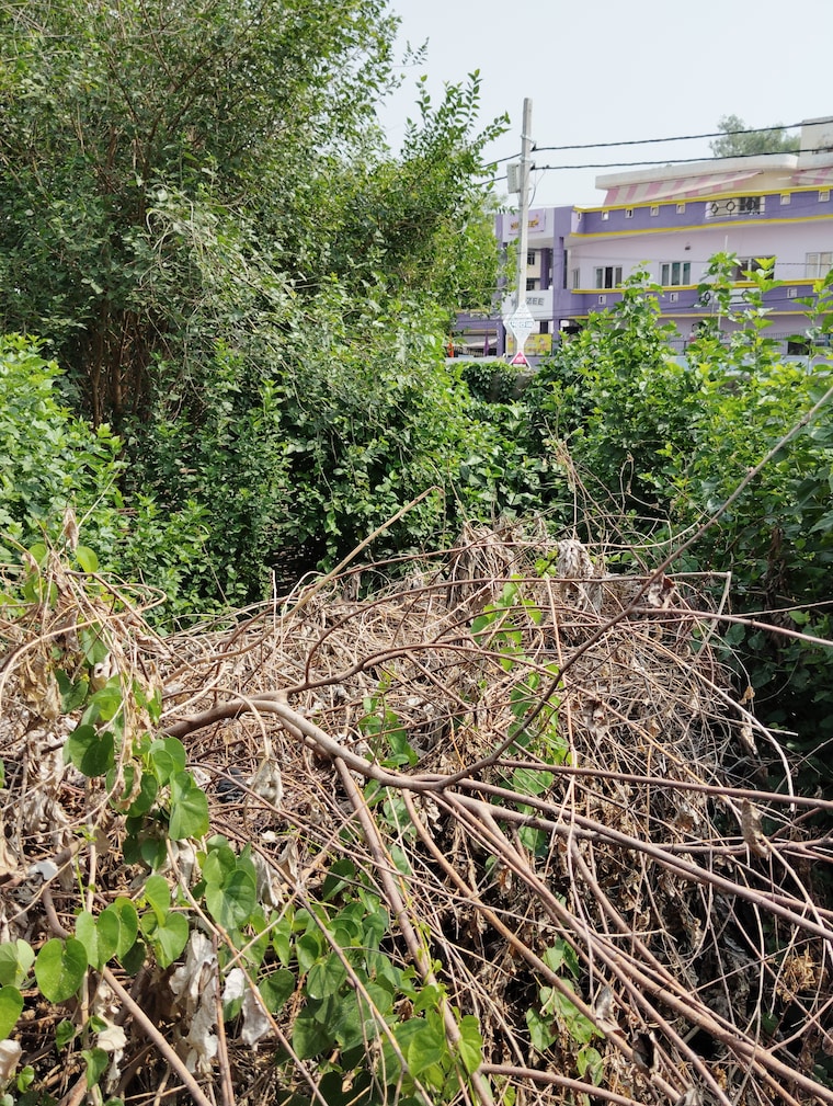 undefined, guramba  1210 Sq.Yd. Plot In Guramba Lucknow 8719021