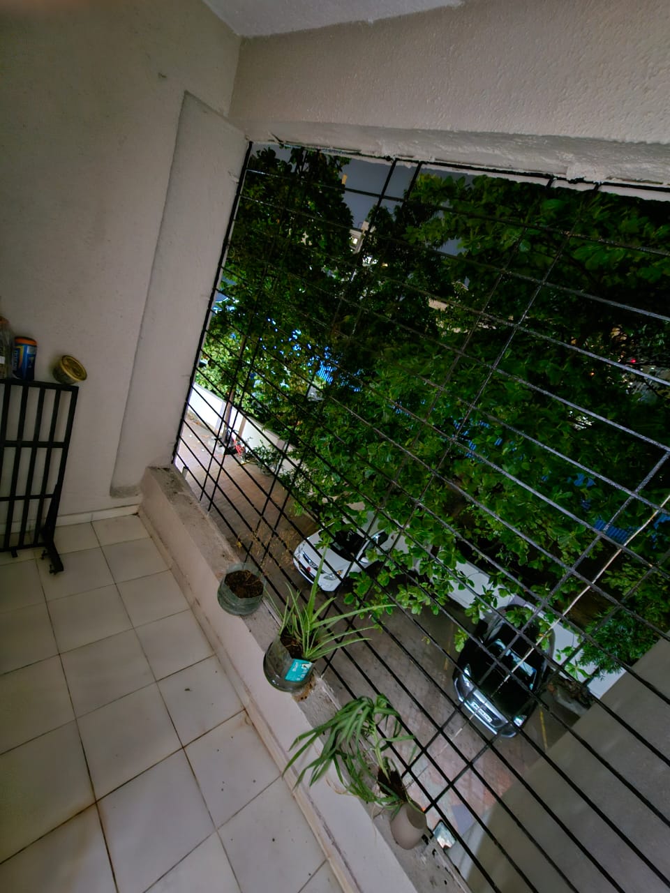 1 BHK Apartment For Rent in SN Medtiya Raviraj