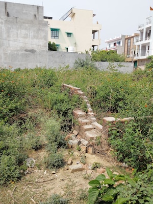  Plot For Sale in Jankipuram Vistar