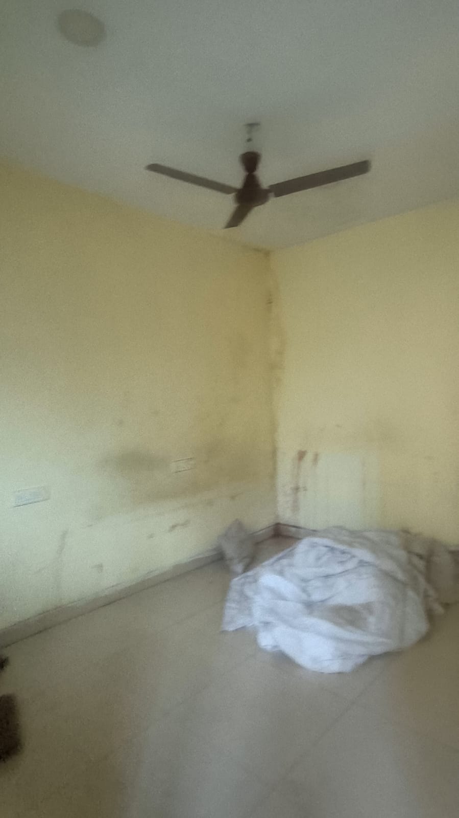 Showroom For Rent in Aashiyana Star Properties