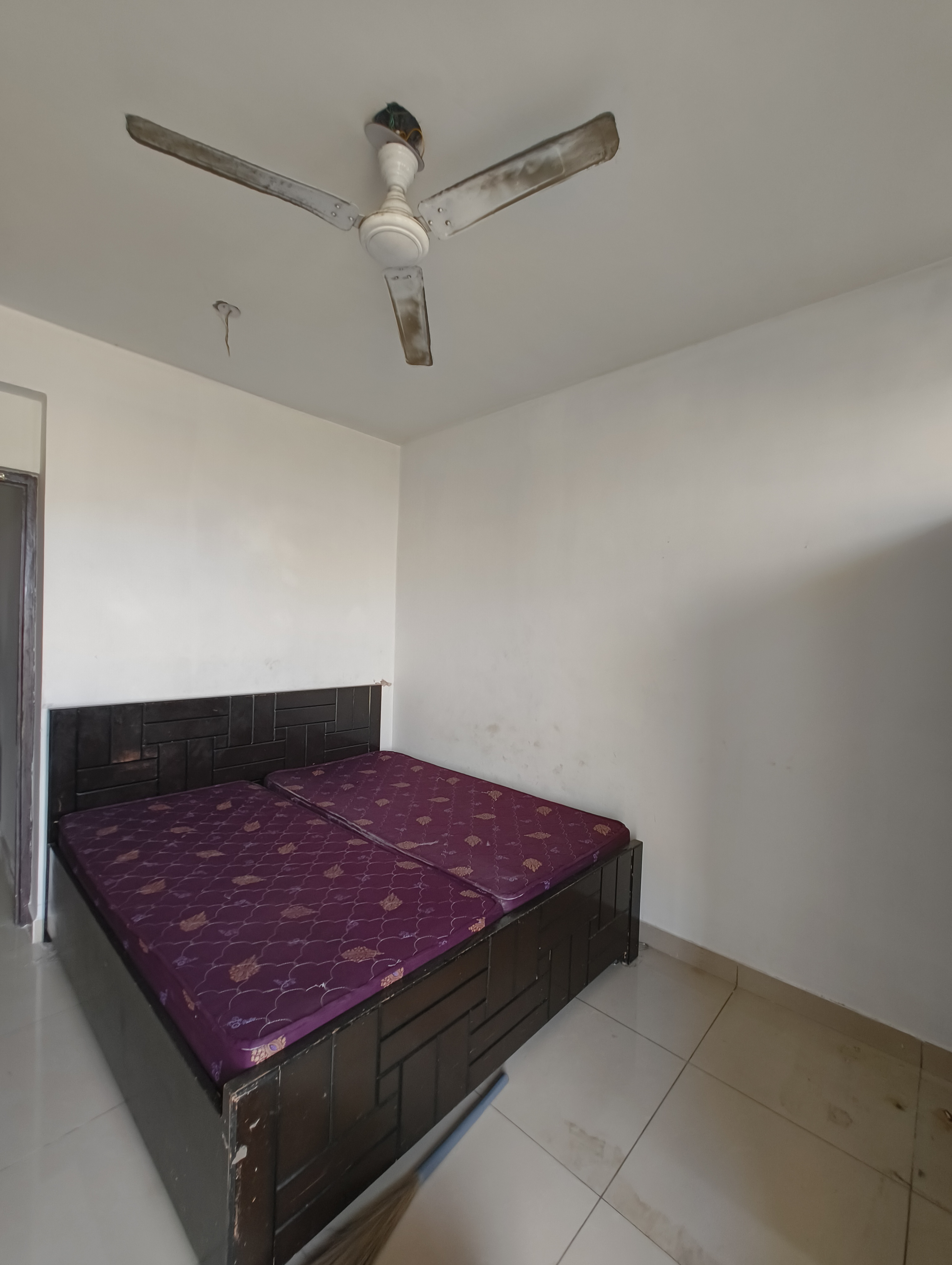 1 BHK Apartment For Rent in AVL 36 Gurgaon