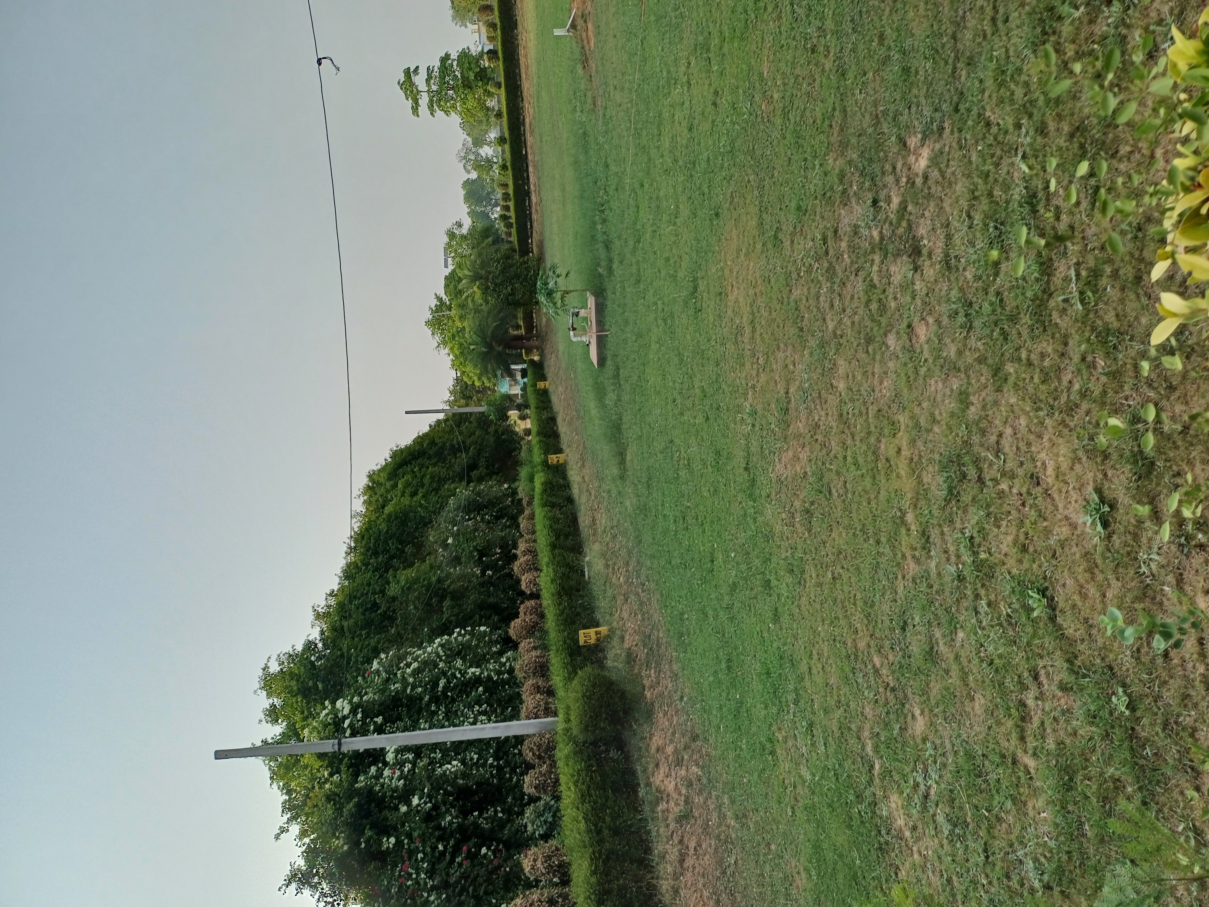 Plot For Sale in Harit City 