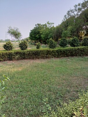  Plot – Garden View at Jewar - for Sale
