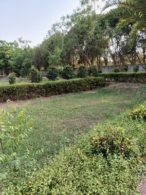  Plot – Garden View at Jewar - for Sale