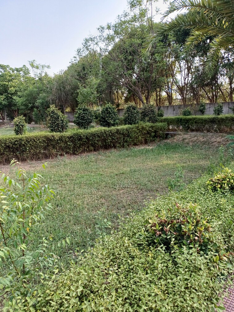 Garden, jewar  110 Sq.Yd. Plot In Jewar Greater Noida 8719526