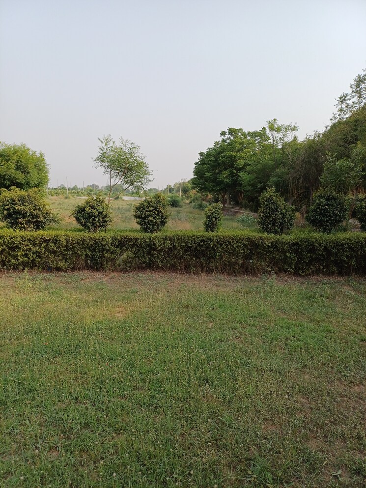 Garden, jewar  110 Sq.Yd. Plot In Jewar Greater Noida 8719526
