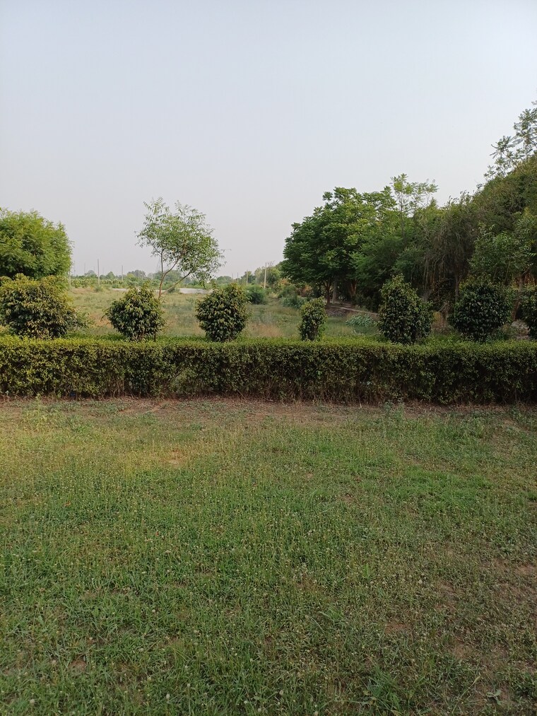 Garden, jewar  110 Sq.Yd. Plot In Jewar Greater Noida 8719526