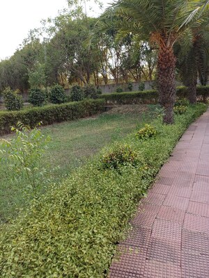  Plot For Sale in Jewar