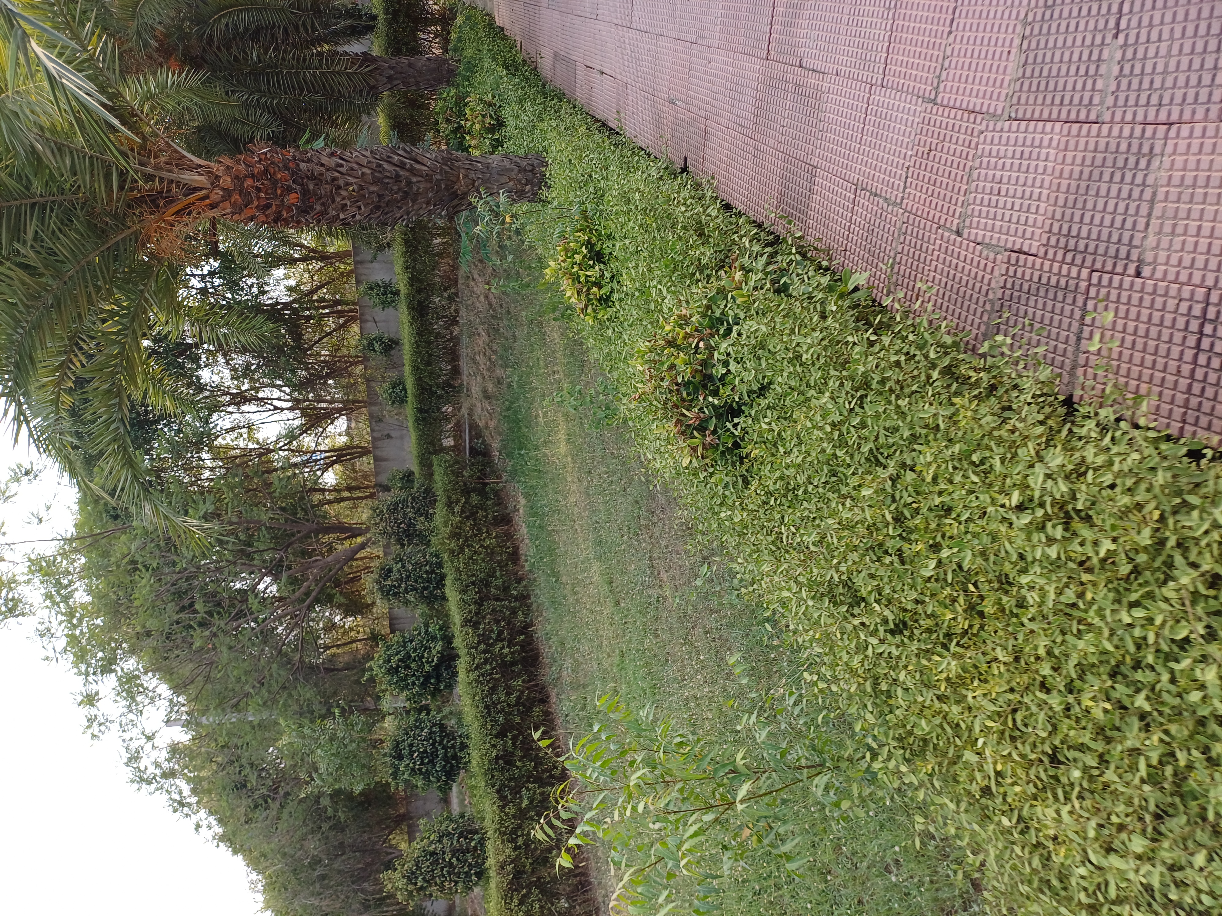 Plot For Sale in Harit City 