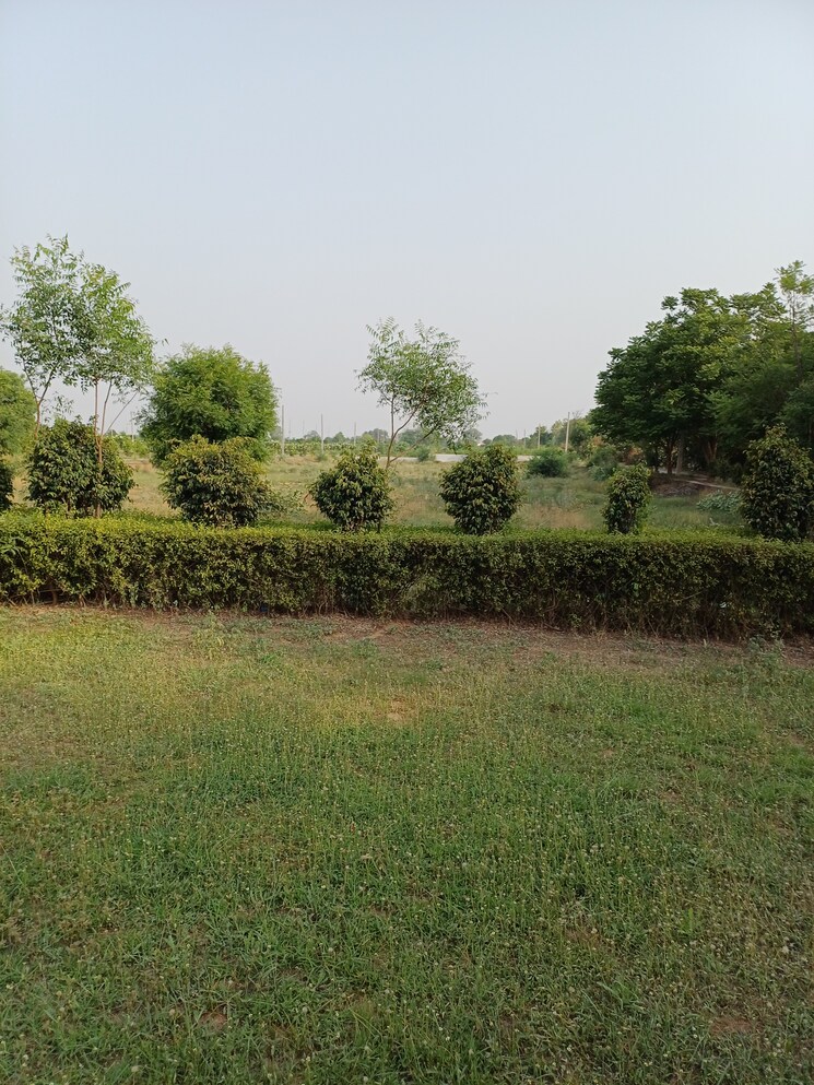 Garden, jewar  111 Sq.Yd. Plot In Jewar Greater Noida 8719540