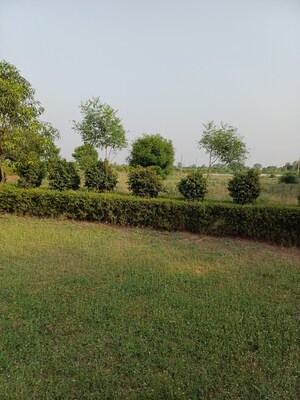  Plot – Garden View at Jewar - for Sale