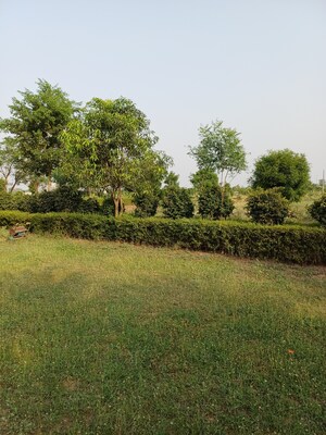  Plot – Garden View at Jewar - for Sale